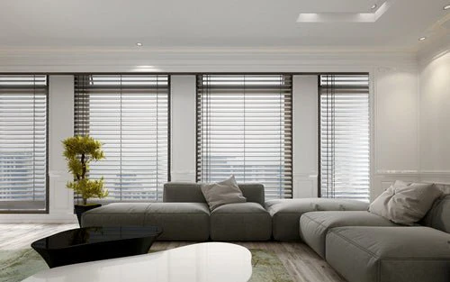 Choose the Best Blinds